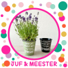 Juf en meester