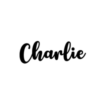 DIY naamsticker | charlie